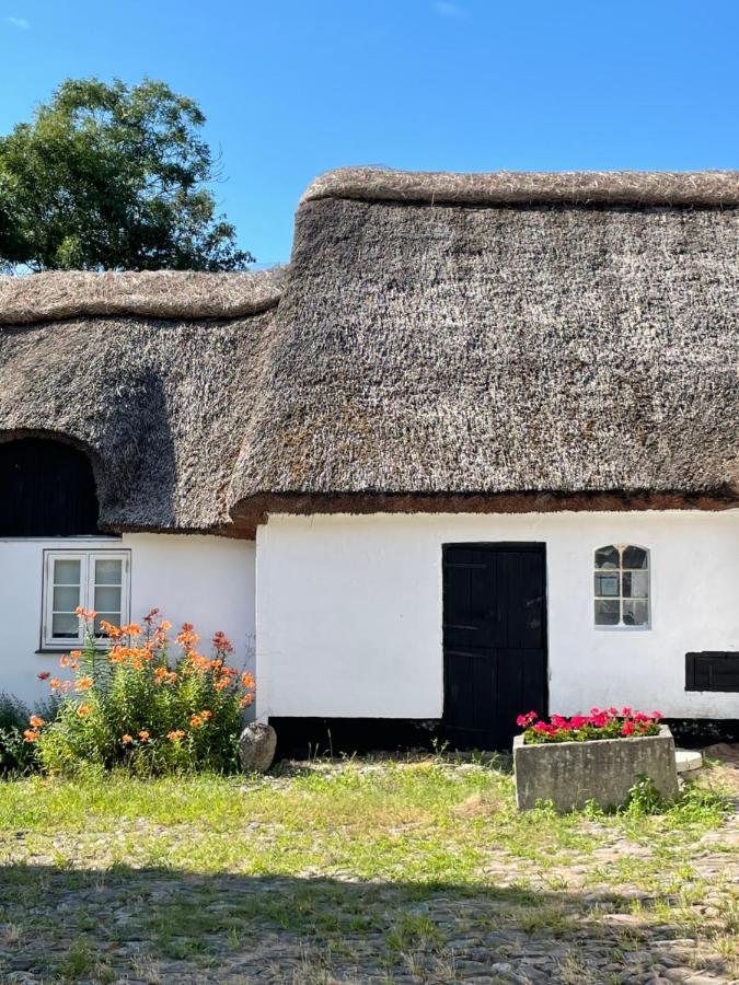Apple Hébergement de vacances Vejby
